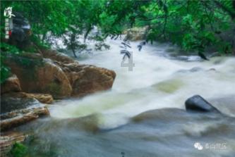 全球电商服务平台汇聚重庆 助山城好货“走出去”
