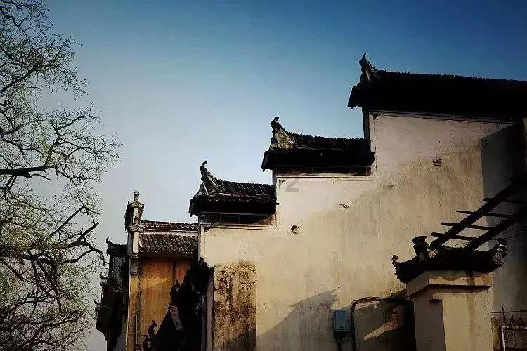 萧亚轩疑添新伤，她被狗咬伤有没有痊愈？
